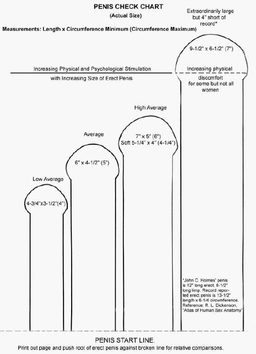 penis growth chart